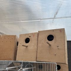 bird breeding boxes