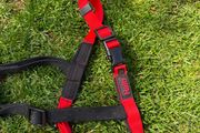 medium dog harness