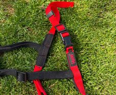 medium dog harness