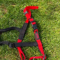medium dog harness