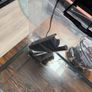 Ciano Aquarium 60 Led Black 52l Image 3