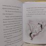 The Friendship Fairies Go To School By Lucy Kennedy, HARDBACK Image 9