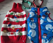 Dog Jackets/collars/Jumper