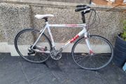 bike  ktm small fixing