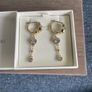 Swarovski Imber Drop Earrings Image 3