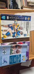 Gaa Programmes 1990- 2020s