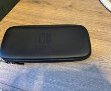 Nintendo Switch case