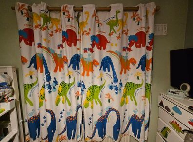 Dinosaur Black Out Curtains