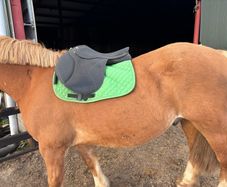 17" saddle