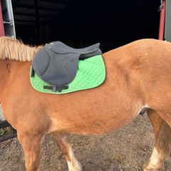 17" saddle
