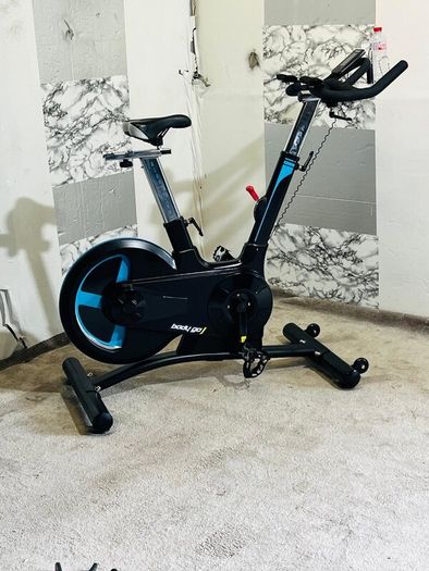 Large 20kg Wheel Bodymax Exercise Bike Life Time