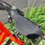 Cannondale Quick 7 Hybrid Bike - Size Large - Fully Serviced - Excellent Condition - Riders 5ft 4" - 5ft 11" Image 8