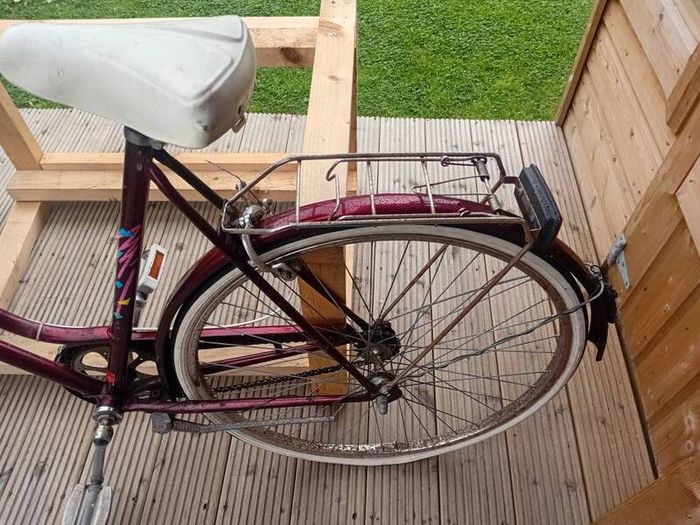 adults bike