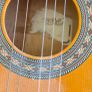 Encore Classical/Spanish Guitar Image 2