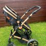 Baby Pram Image 4