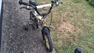 Kids Raleigh Bike