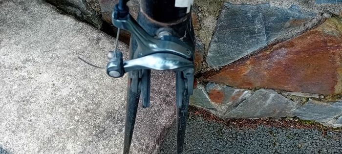 Giant Tcr Carbon Frame Swap/trade
