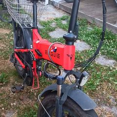 ebike engwe engine pro 2.0