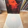 Willie Nelson - The TroubleMaker [Vinyl] Image 3