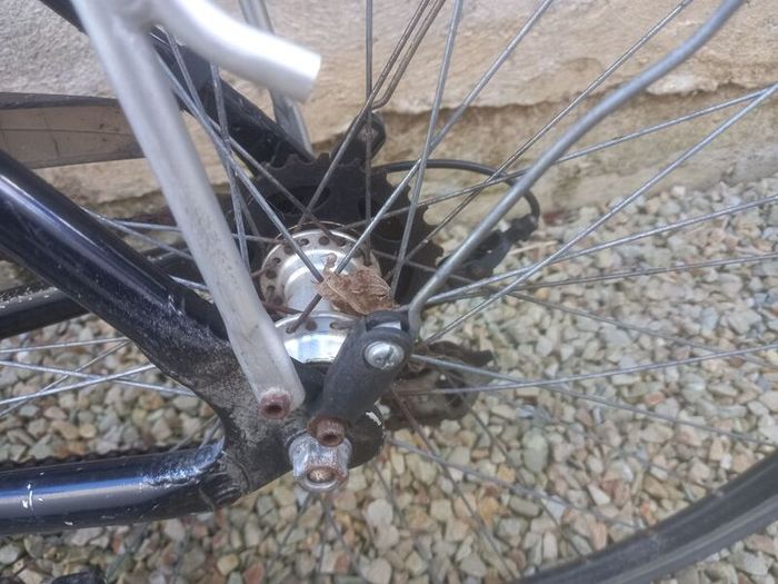 Men's Bike