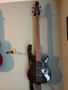 Peavey Millennium BXP 5 string bass guitar