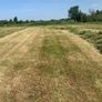 Silage bales Image 6