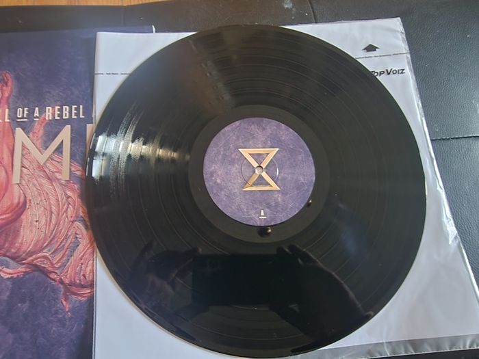 Enigma - The Fall of a Rebel Angel Vinyl Album