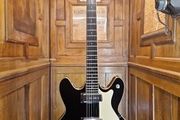 Hagstrom Viking IIP 2010's