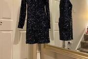 Dress   Warehouse blue sequins