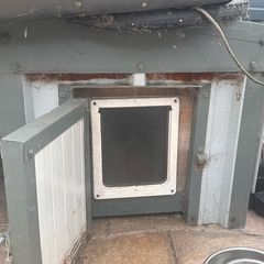 Free Dog House