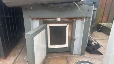 Free Dog House