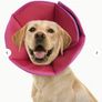 Fabric Velcro Elizabeth Pet Cone for dog Image 7