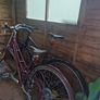 Shed Image 4