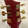 JT-137 Sunburst -hollow body -Jay Turser Image 3