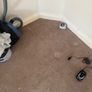 Beige Carpet Image 2