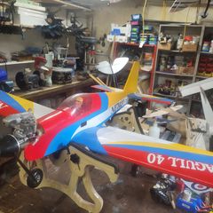Radio Control Model Plane