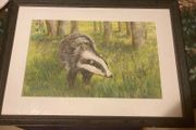 Pencil coloured artwork badger free postage