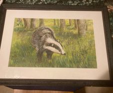Pencil coloured artwork badger free postage