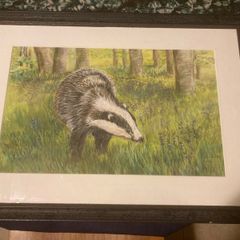 Pencil coloured artwork badger free postage