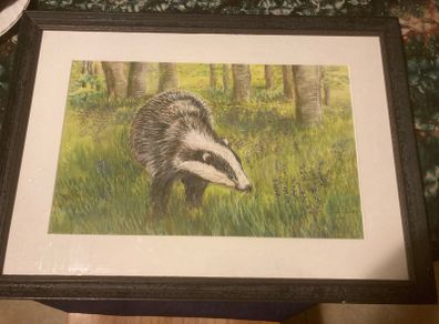 Pencil coloured artwork badger free postage