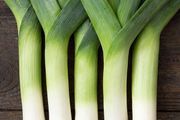 (L) Leek Lancelot seeds 0.4g (125074)