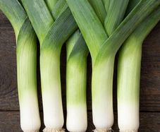 (L) Leek Lancelot seeds 0.4g (125074)