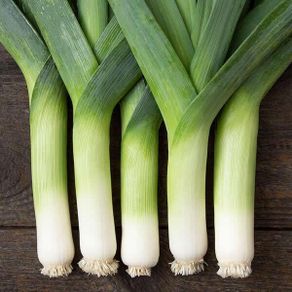 (L) Leek Lancelot seeds 0.4g (125074)