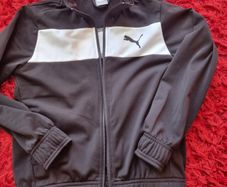 Puma jumper