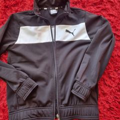 Puma jumper