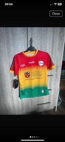 GAA carlow jersey