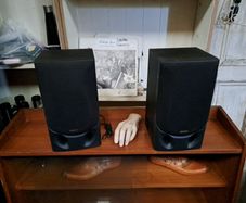 Vintage Sanyo Bookshelf Speakers