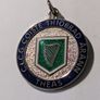 A Tipperary GAA medal Image 2