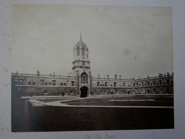 Victorian Photograph Album Photo Card Album  Antique Cabinet Card Photographs Photos 21 Page 42 Photos