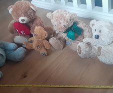 Teddy Bears x 5